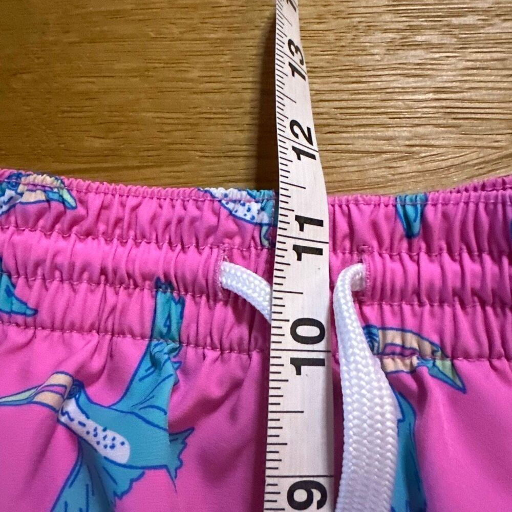 Chubbies toucan can do it pink 5.5” swim trunks large - Picture 9 of 9
